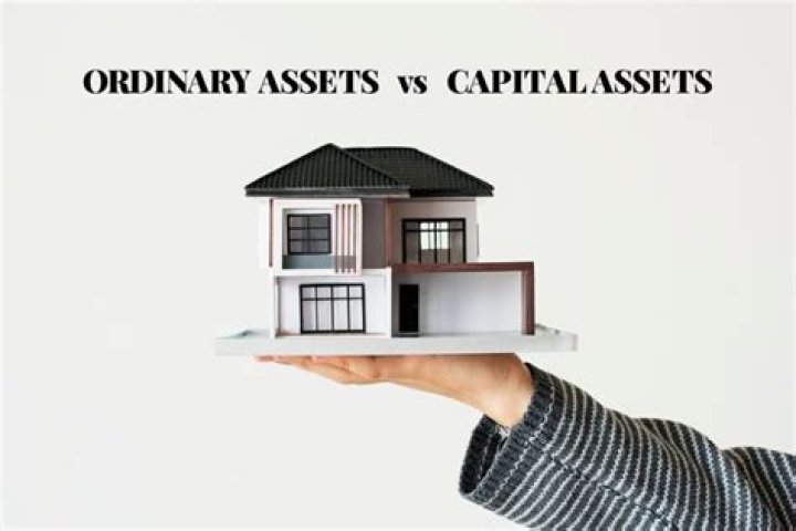 What are the ordinary and capital assets?