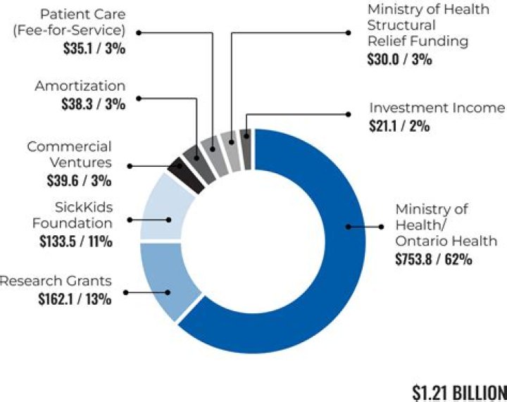 What are the primary sources of revenue for health care?