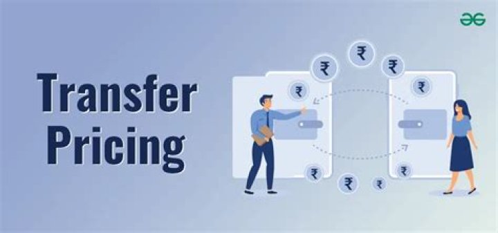 What are the problems of transfer pricing?