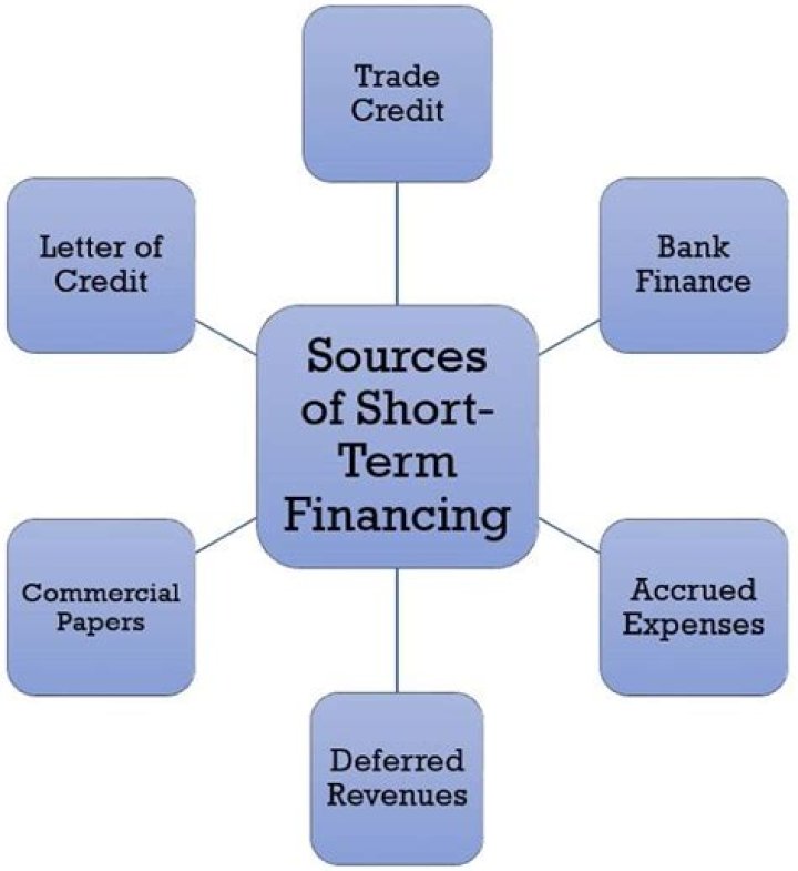 What are the sources for short term capital?