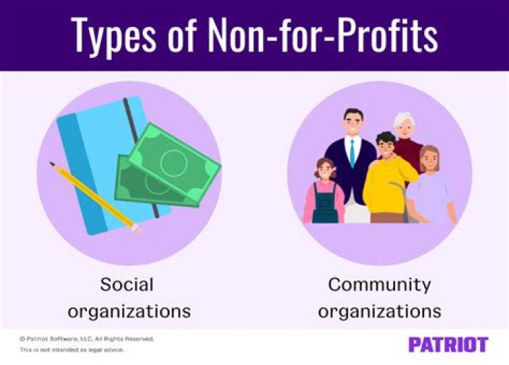What are the sources of income of non profit organization?
