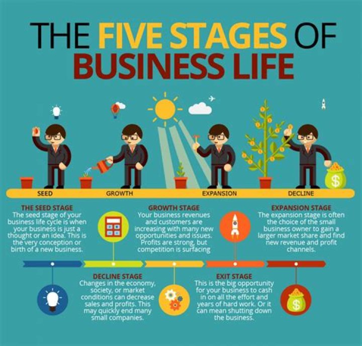 What are the stages of a business?
