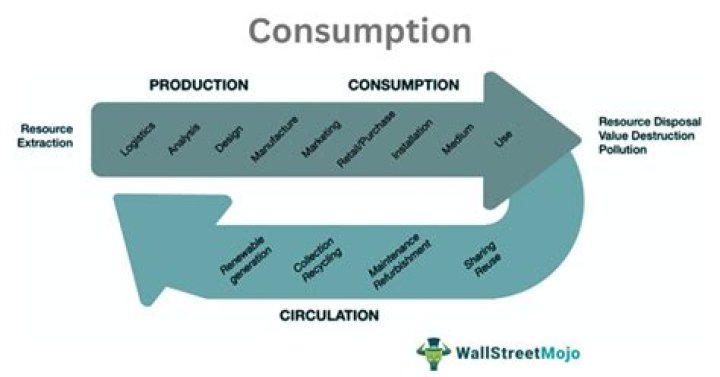 What are the three elements of consumption experience?