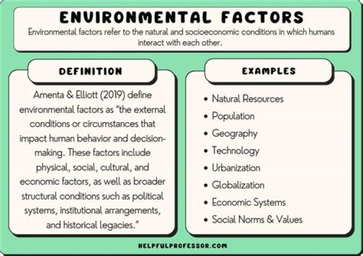 What are the three factors in determining environmental impact?