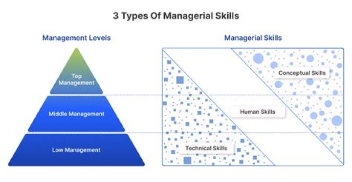 What are the three set of skills managers need?
