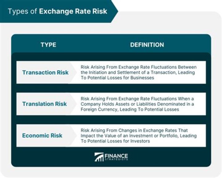 What are the types of exchange risks?