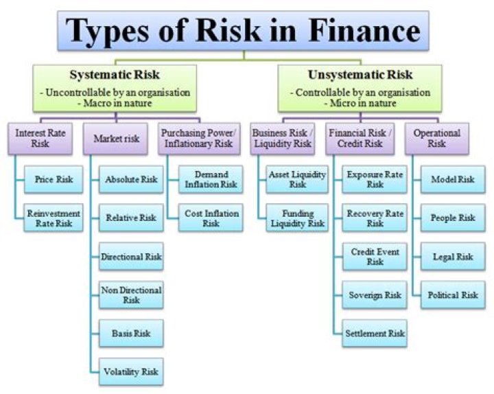 What are the types of risk in financial management?