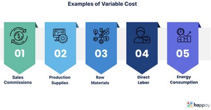 What are variable cost examples?