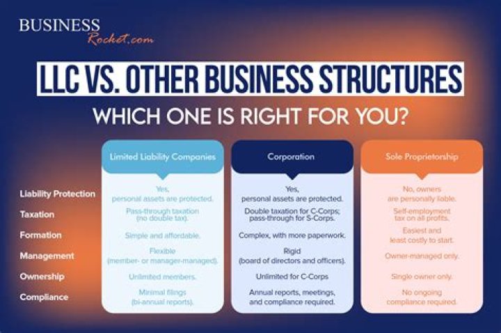 What businesses are usually LLCs?