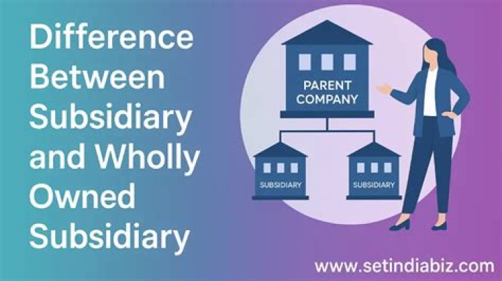 What can be the disadvantages associated with setting up a wholly owned subsidiary?