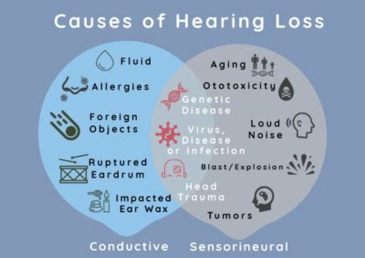 What causes hearing loss in one year?
