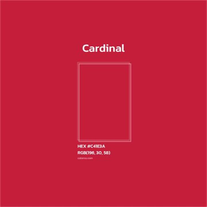 What colors go with Cardinal red?
