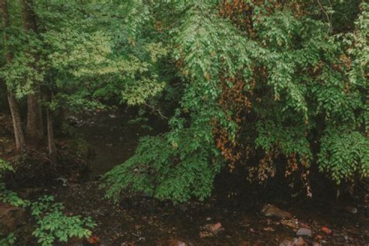 What constitutes residency in North Carolina for tax purposes?