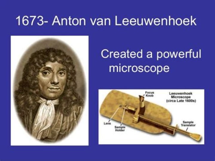 What did van Leeuwenhoek discover?
