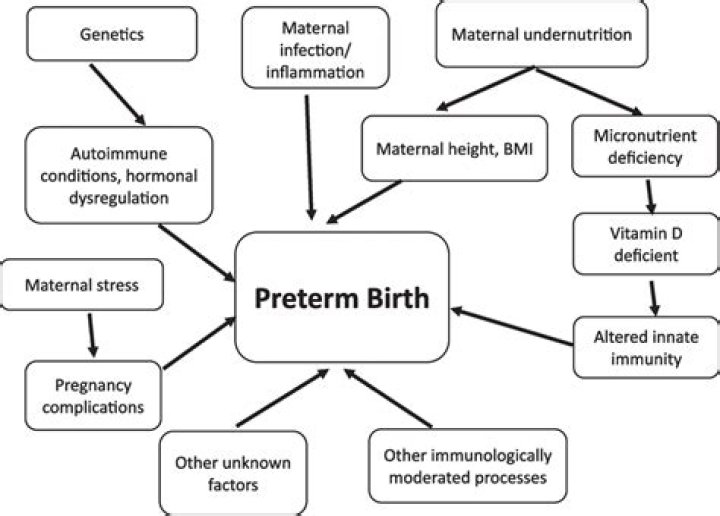 What difficulties can be caused by premature birth?