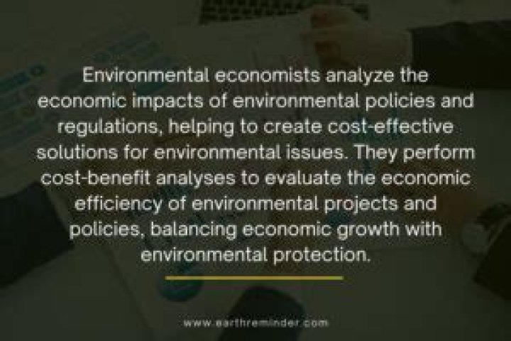 What do environmental economists believe?