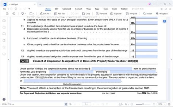 What do I need to fill out Form 982?