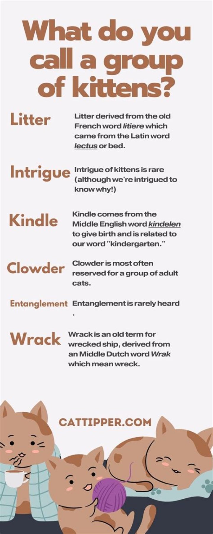 What do you call a group of vehicles?