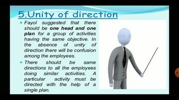 What do you mean by unity of direction?