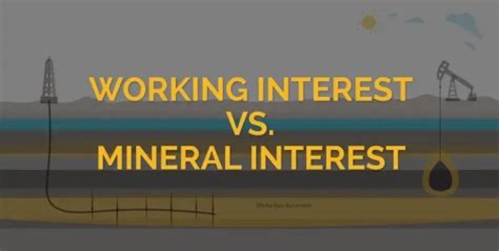 What do you mean by working interest in oil and gas?
