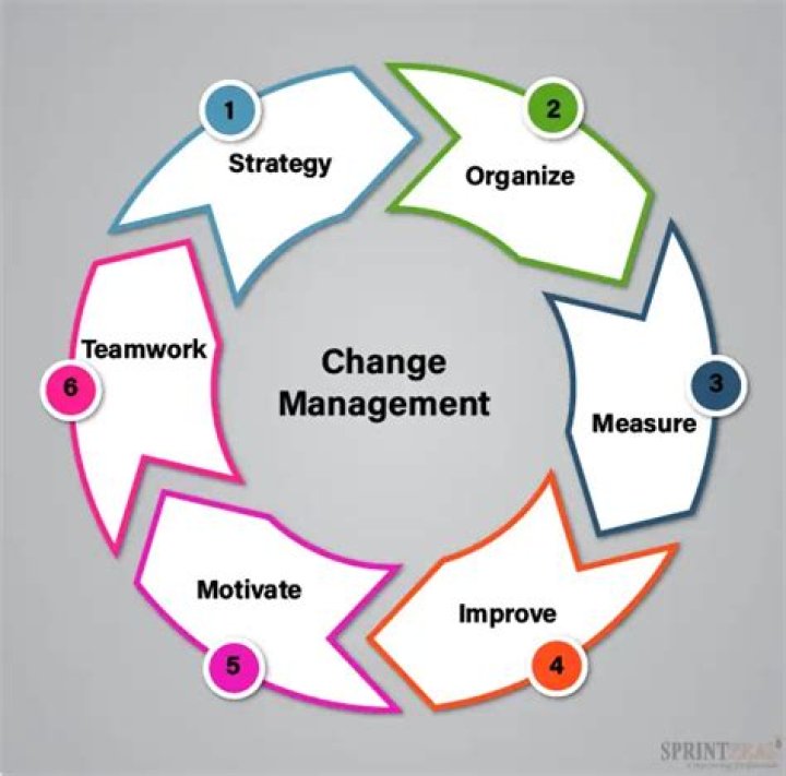 What does a director of change management do?