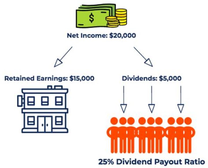 What does a high dividend payout ratio mean?