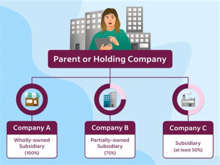 What does a Holding Corp do?