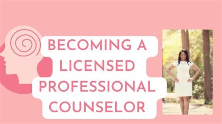 What does a lay counselor do?