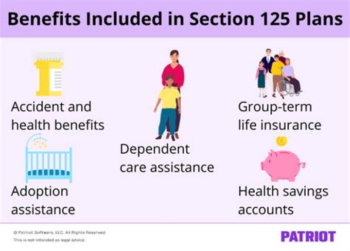 What does a Section 125 plan do?