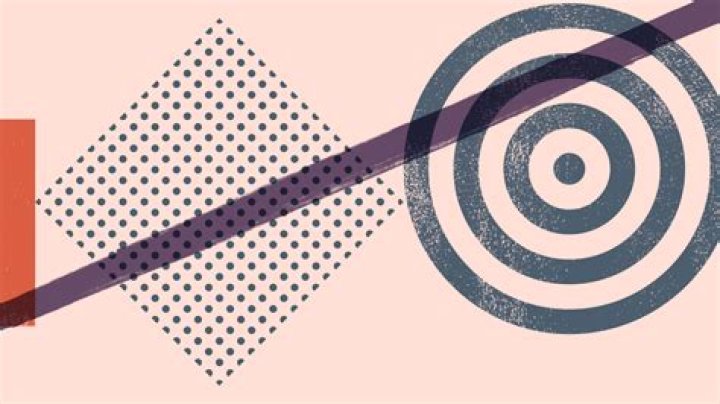 What does a support consultant do?