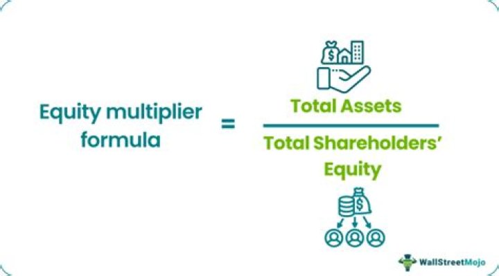 What does an equity multiplier of 2 mean?