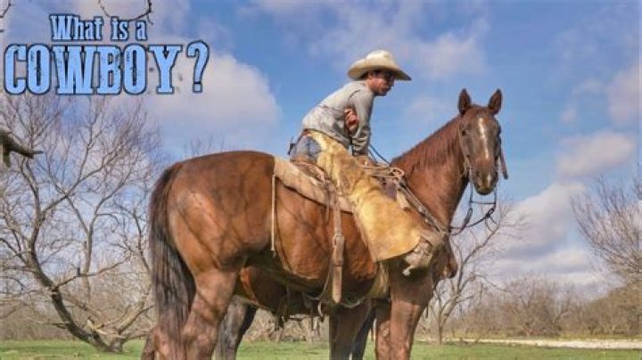 What does Cowboy mean in business?