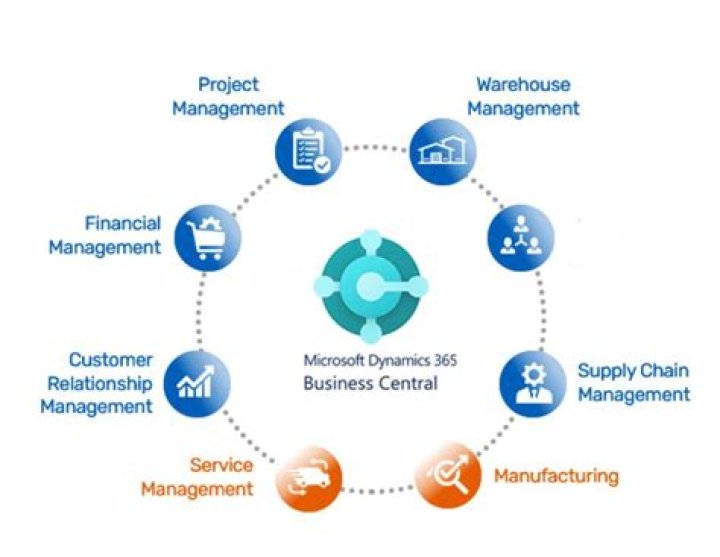 What does dynamics mean in business?
