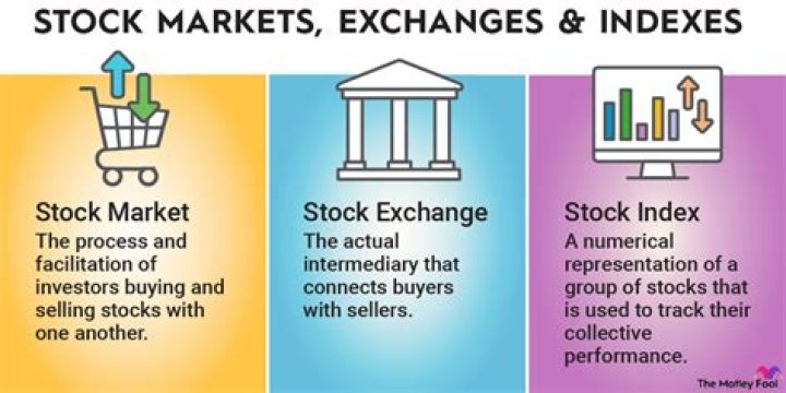 What does ex stock mean?