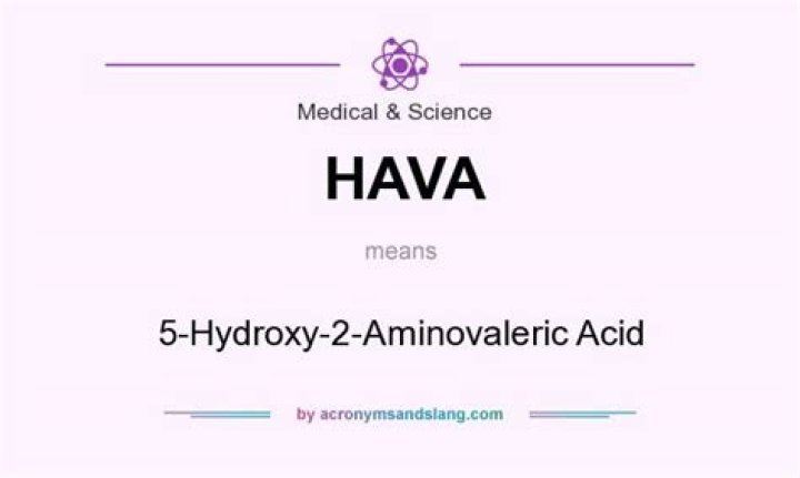 What does HAVA stand for?