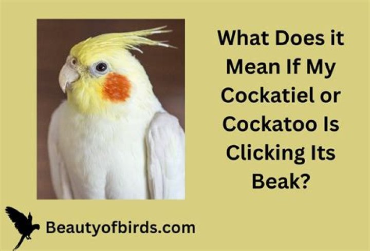 What does it mean if my card was debited?