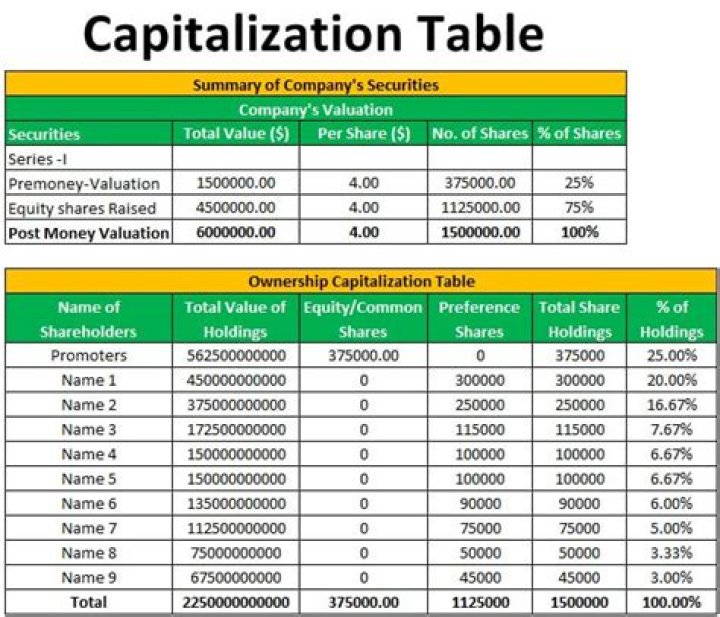 What does it mean to capitalize an asset?