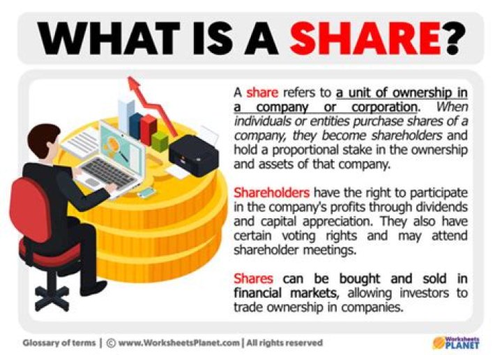 What does it mean to own shares in a private company?
