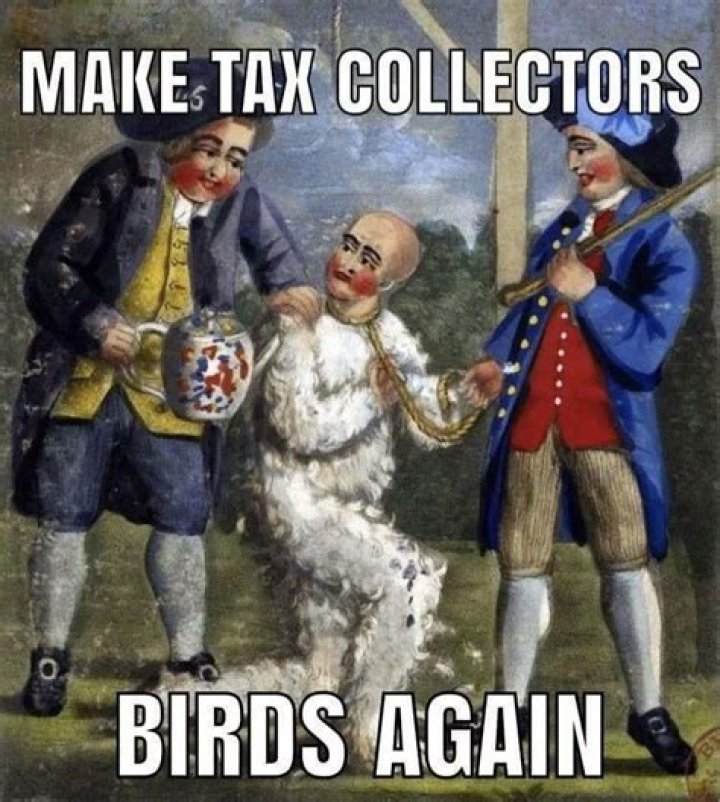 What does it mean when the IRS sends you to collections?