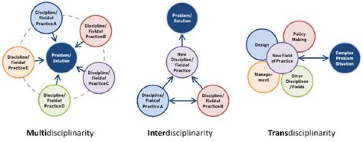What does multidisciplinary subject mean?