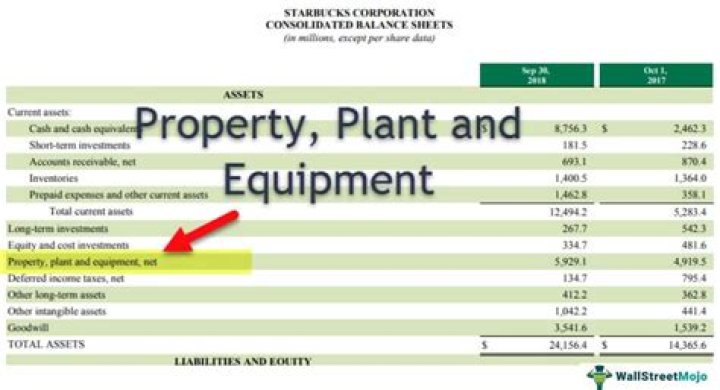 What does property, plant, and equipment include?