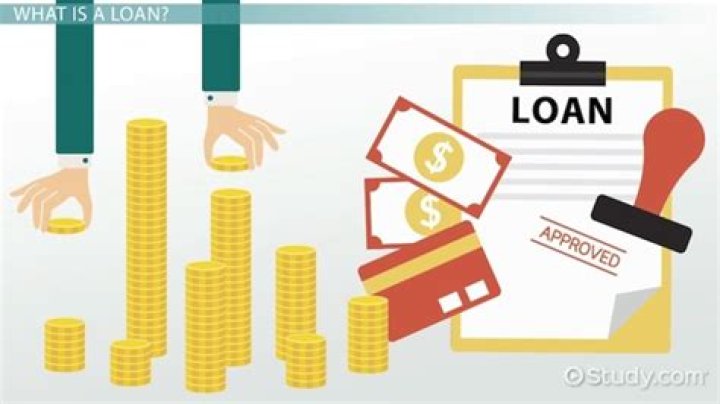 What does purchased loan mean?