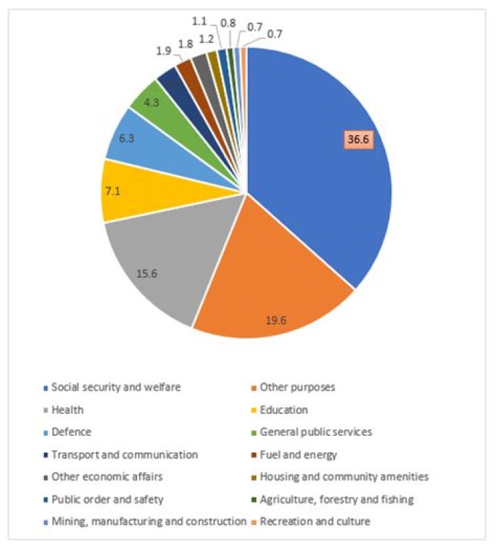 What does the Australian Government spend money on?