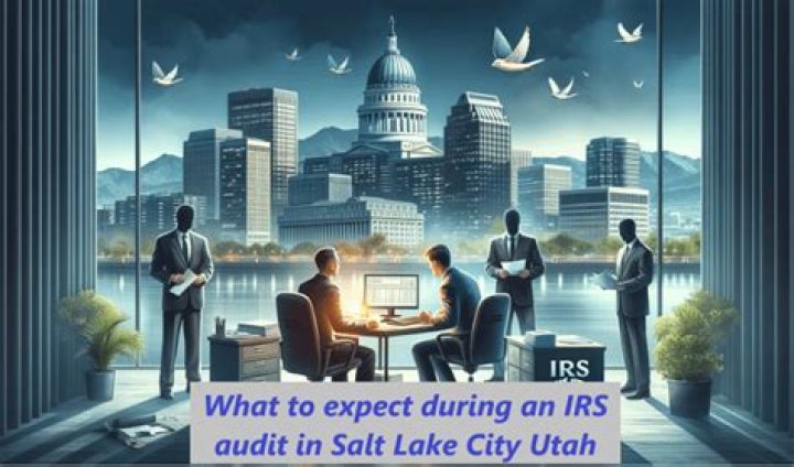 What does the IRS look for during an audit?