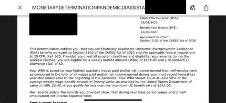 What does unresolved issues mean on Pua?