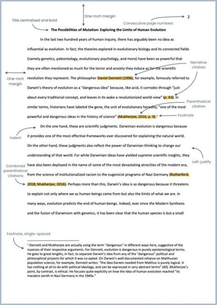 What font is APA supposed to be in?