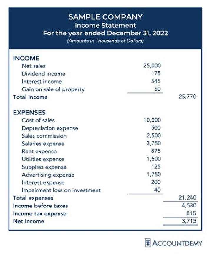 What goes under expenses on an income statement?