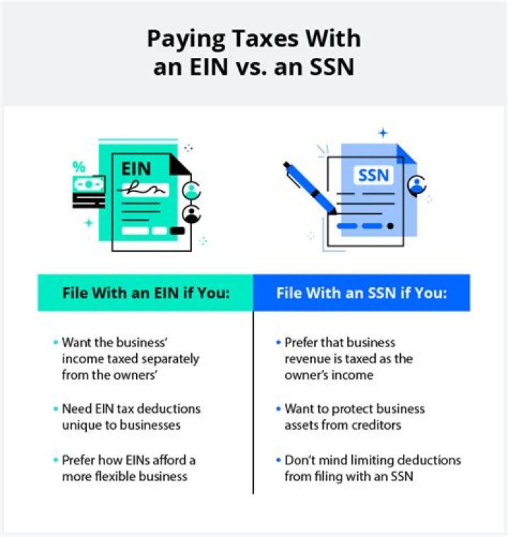 What happens if a LLC does not make a profit?