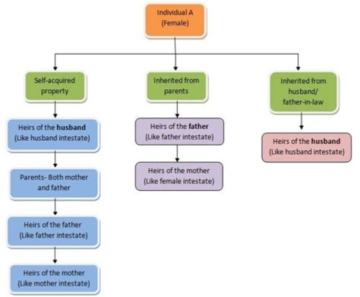What happens if father dies without will in India?