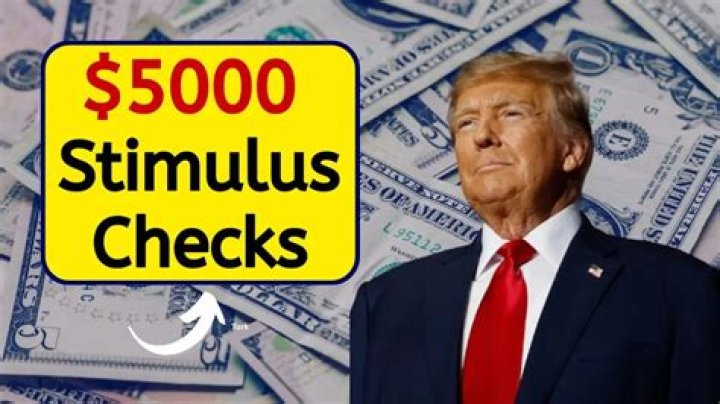 What happens if I shredded my stimulus check?